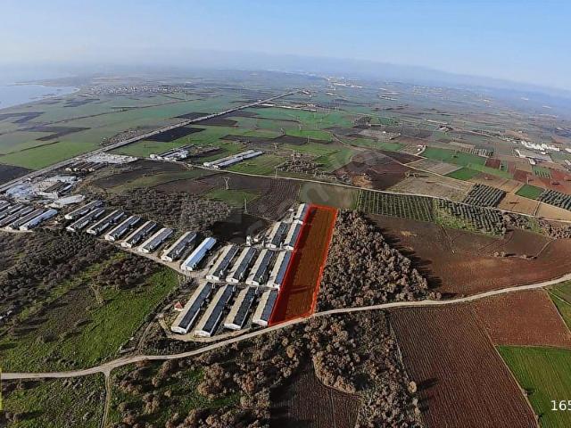 Bandirma, Balikesir içerisinde satılık Arsa