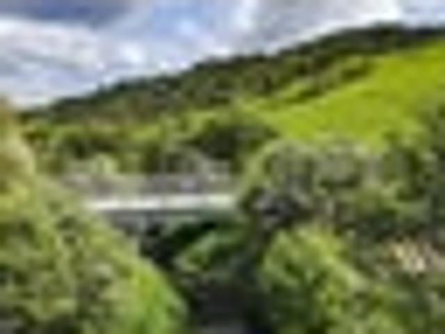 Land for sale in Waikato
