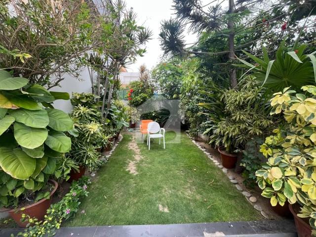 House for rent in North Waziristan, Federally Administered Tribal Areas fata