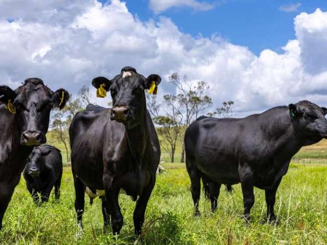 Property for sale in Horsham Downs, Waikato