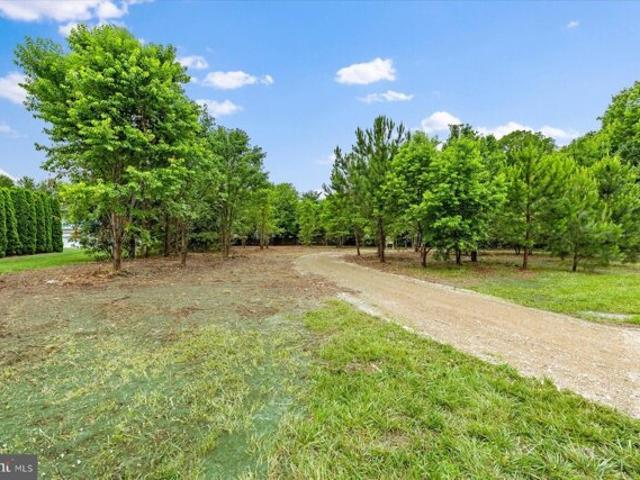 Land for sale in Millsboro