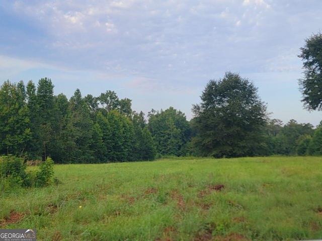 Land for sale in Georgia