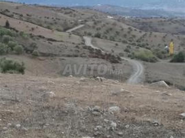 Propriété vente à Chauen, Tanger-Tétouan