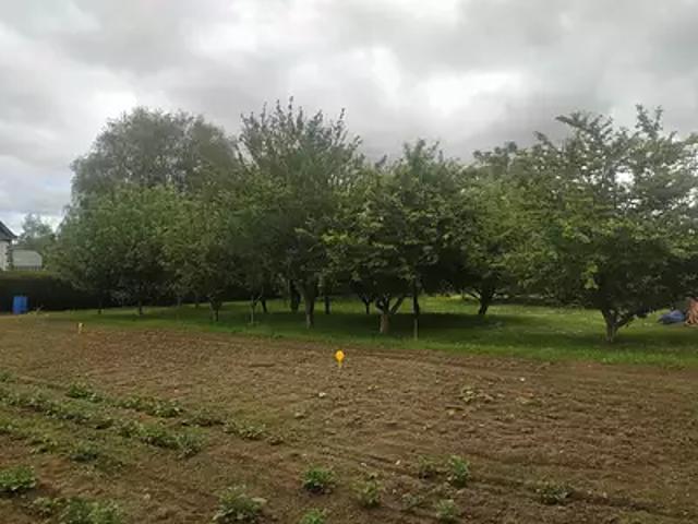 Terrain vente à Quimper, Bretagne