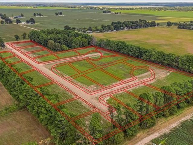 Land for sale in Manila, Mississippi County