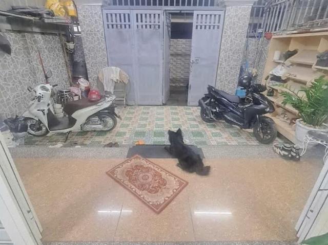 Nhà bán tại Thủ Đức, Hồ Chí Minh