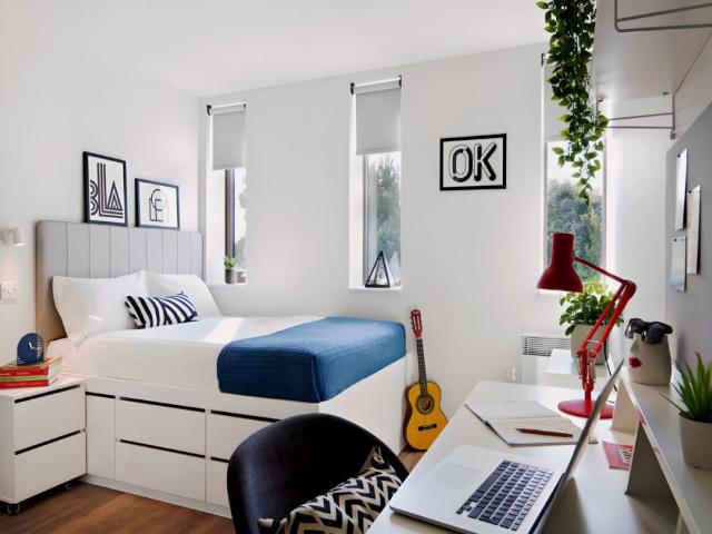 Studio for rent in St Thomas', The Slade