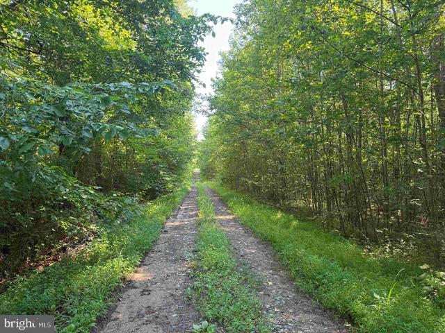 Land for sale in Virginia
