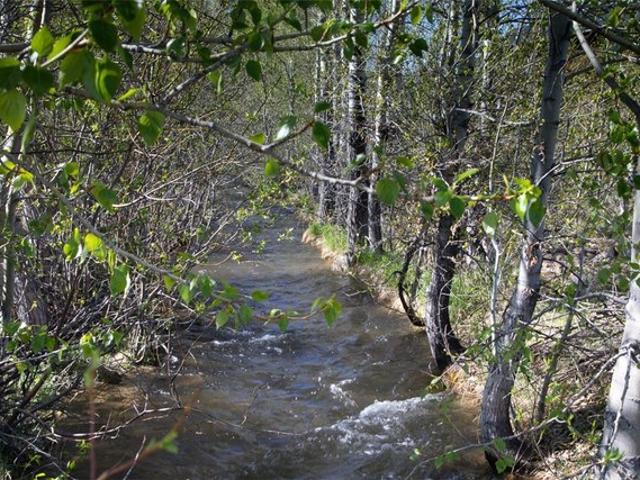 Land for sale in Red Lodge, Montana