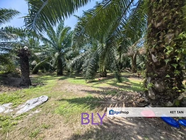 Warehouse for sale in Banting, Kuala Langat
