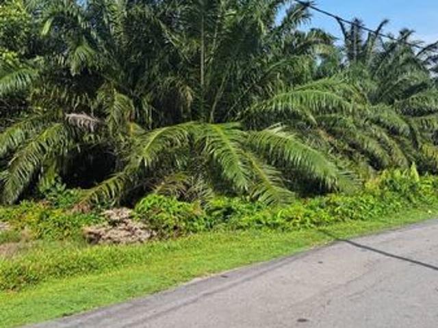 Shop for sale in Banting, Selangor