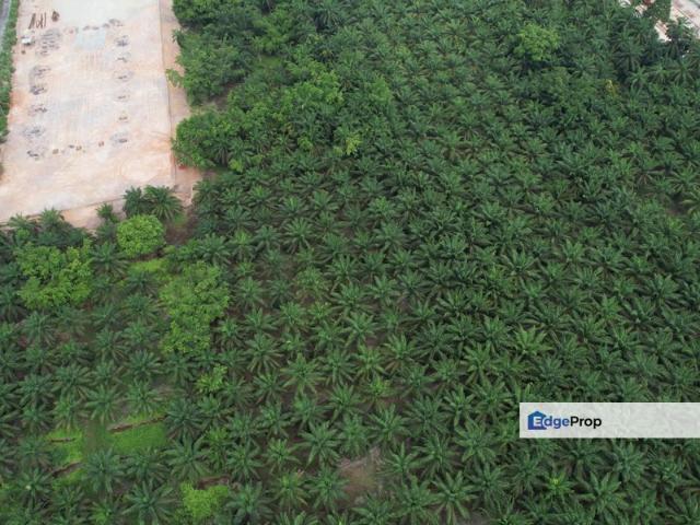 Warehouse for sale in Selangor