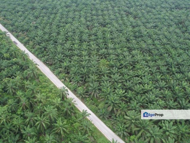 Warehouse for sale in Selangor