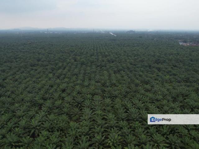 Warehouse for sale in Selangor