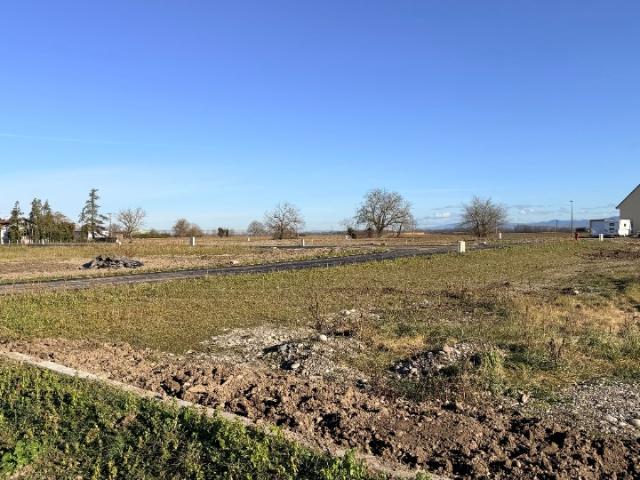 Terrain vente à Mulhouse, Bantzenheim
