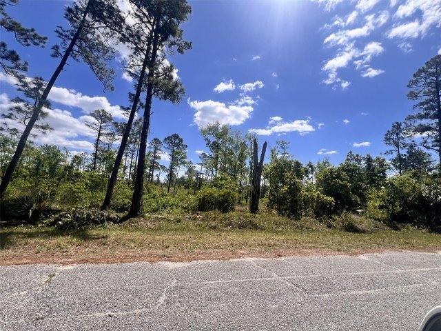 Land for sale in Eustis, Lake County
