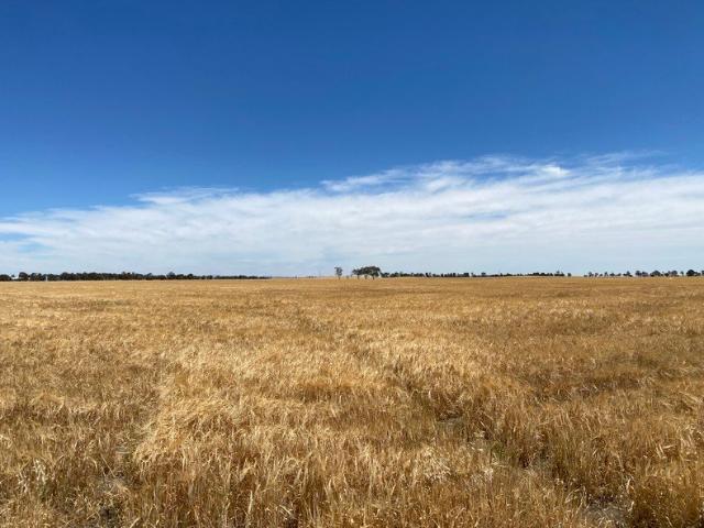 Cottage for sale in Banyena, Victoria
