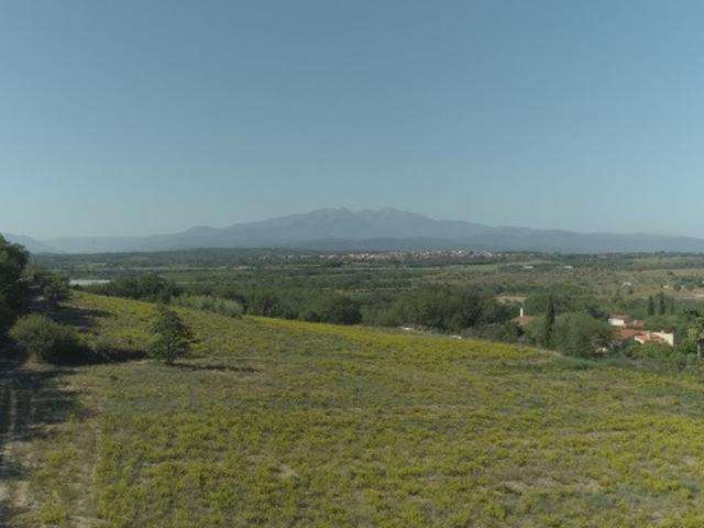 Terrain vente à Céret, Banyuls-dels-aspres