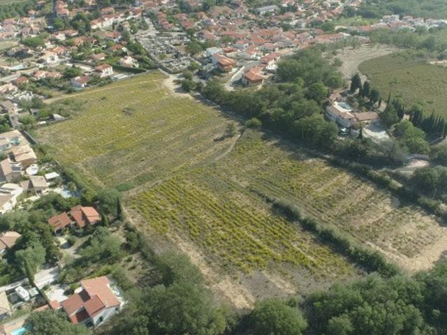 Terrain vente à Céret, Banyuls-dels-aspres