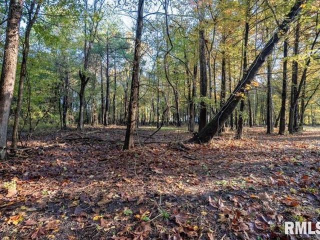 Land for sale in Carterville, Illinois