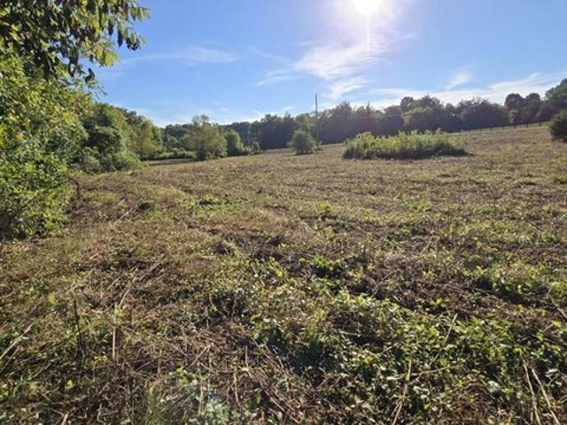 Farm for sale in Culleoka, Middle Tennessee