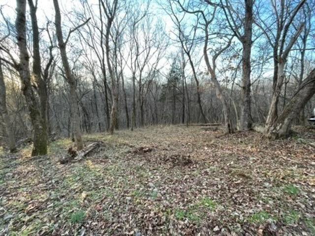 Land for sale in Tennessee