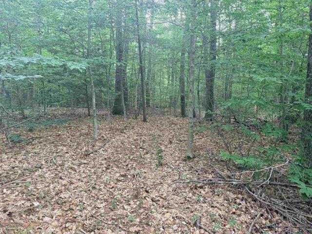 Land for sale in New Hampshire