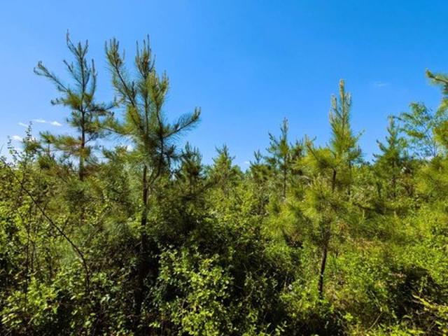 Land for sale in Ross, Ohio