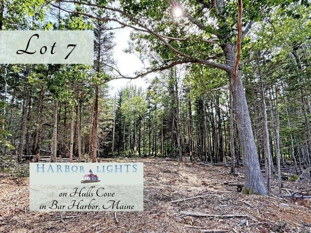 Land for sale in Bar Harbor, Maine