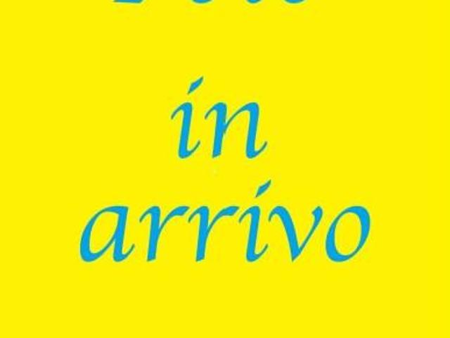 Locale Commerciale in affitto a Mancasale, Re