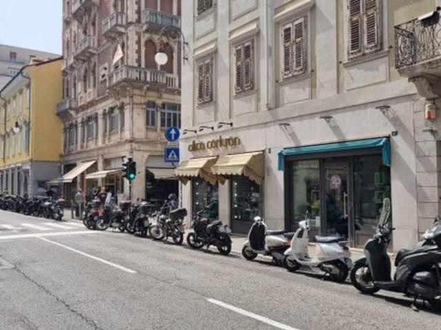 Locale Commerciale in affitto a Città Nuova-Barriera Nuova-San Vito-Città Vecchia, Villa Opicina