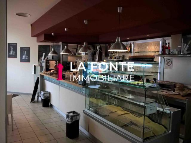 Locale Commerciale in affitto a Vigonza