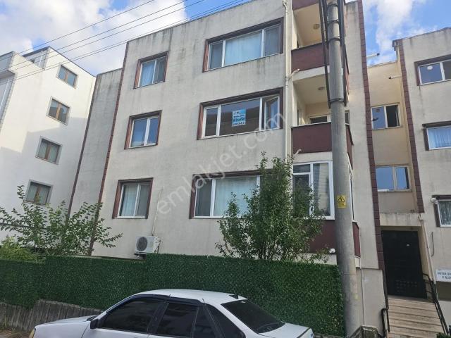 Barış Mahallesi, Gebze içerisinde kiralık mülk