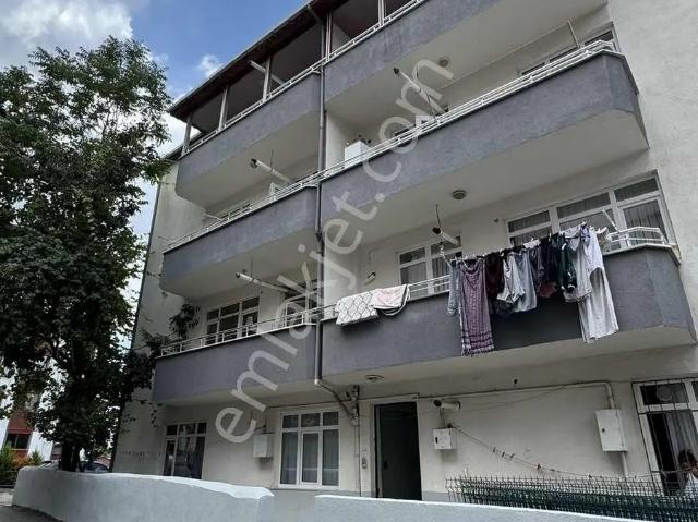 Barış Mahallesi, Gebze içerisinde kiralık mülk