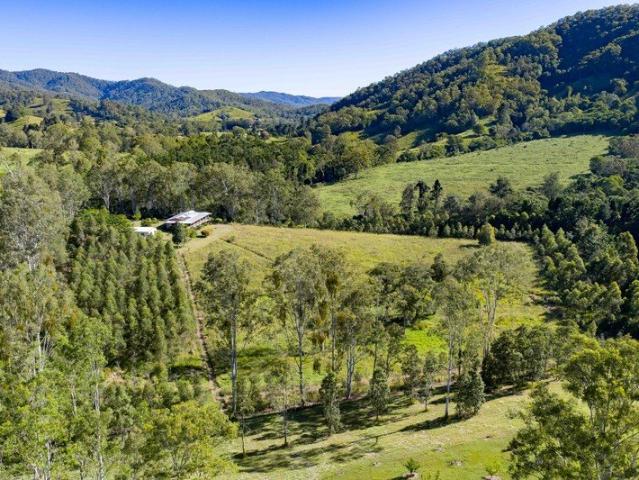 Cottage for sale in Upper Kandanga, Queensland