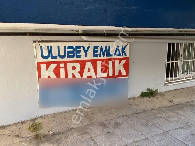 Seyhan, Adana içerisinde kiralık mülk