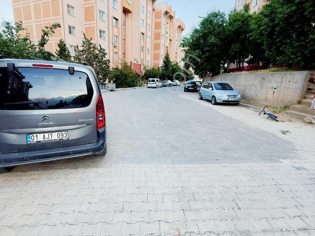 Mardin Merkez, Mardin içerisinde kiralık mülk