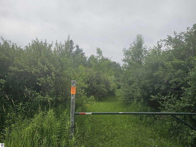 Land for sale in Hale, Michigan