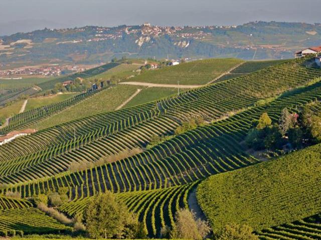Terreno in vendita a Piemonte, Asti