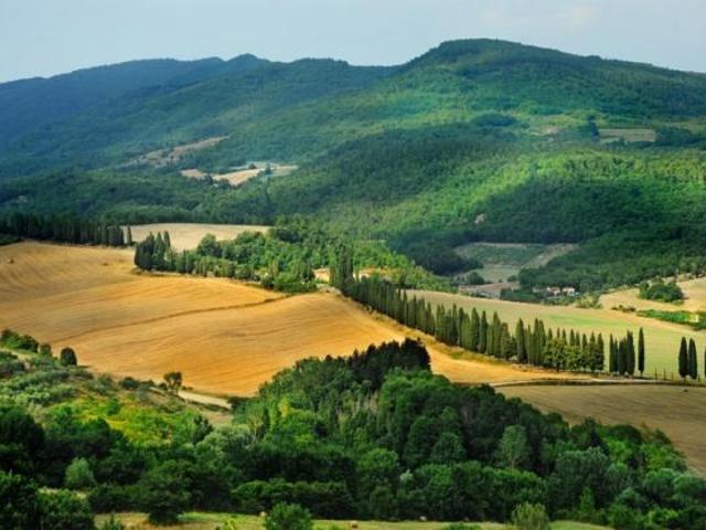 Villa Indipendente in vendita a Barberino Di Mugello, Toscana