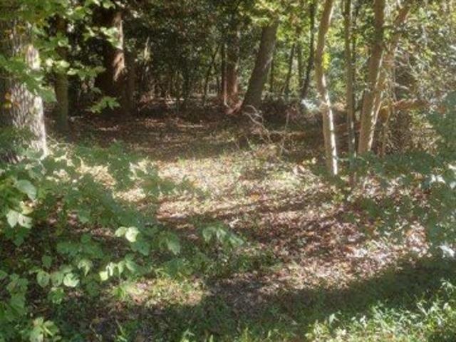 Land for sale in Lorton