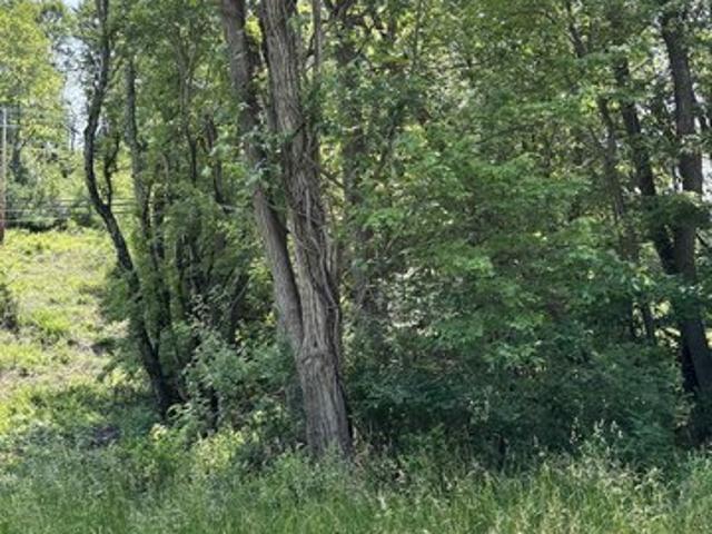 Land for sale in Moatsville, West Virginia