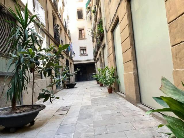 Apartamento en alquiler en Ciutat Vella, Barcelonès