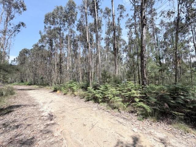 Terreno venda em Barcelos