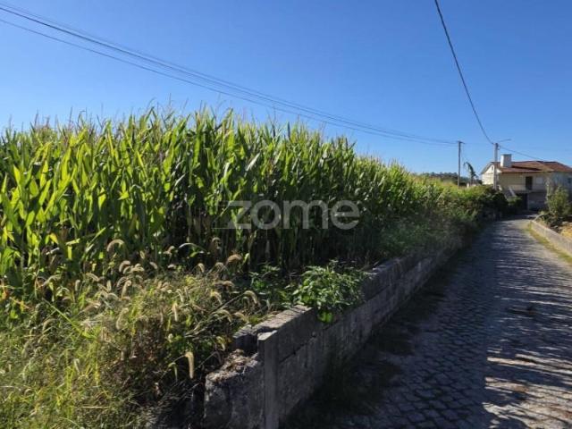 Terreno venda em Barcelos