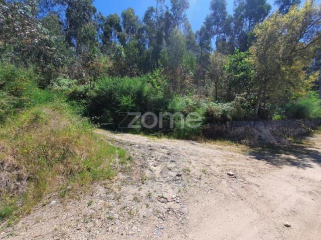 Terreno venda em Barcelos