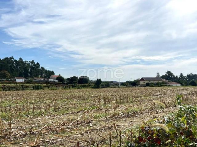 Terreno venda em Barcelos