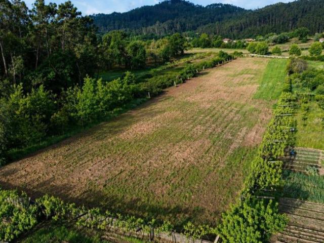 Terreno venda em Arcozelo, Braga