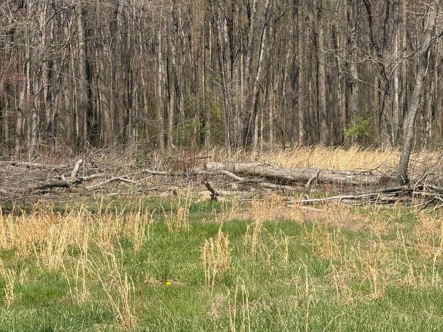 Property for sale in Barclay, Maryland