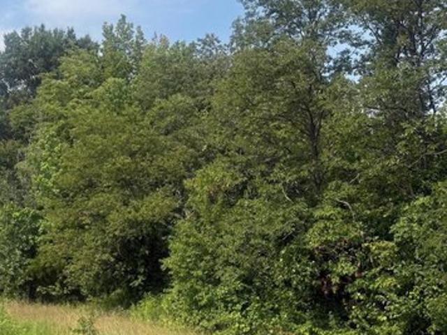 Land for sale in Barclay, Maryland